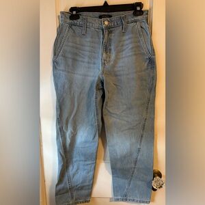 Banana Republic women’s barrel Jeans 2/26 petite